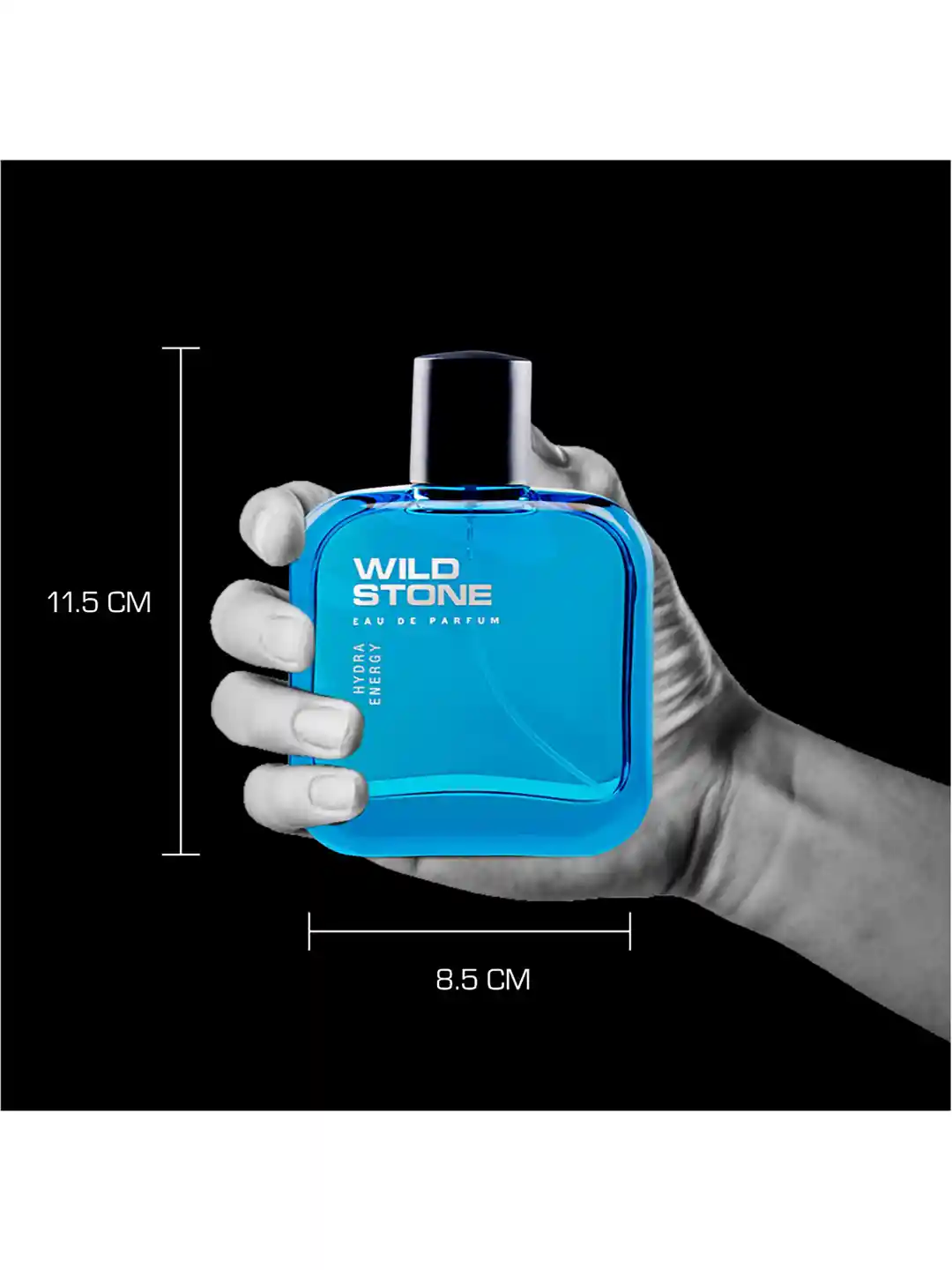 Buy Wild stone Men Multicoloured Pack Of Perfumes 300 ml