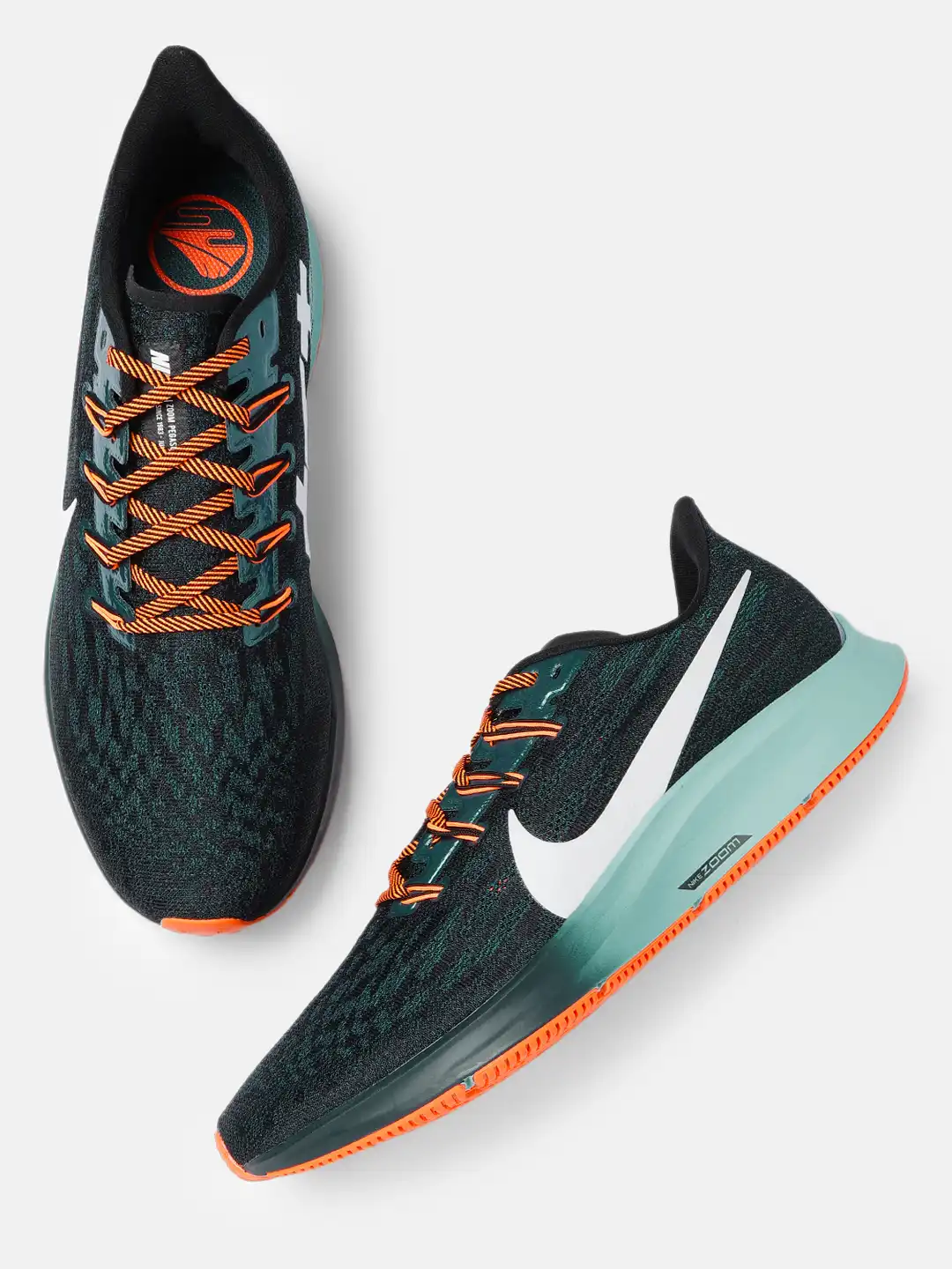 pegasus 36 hkne
