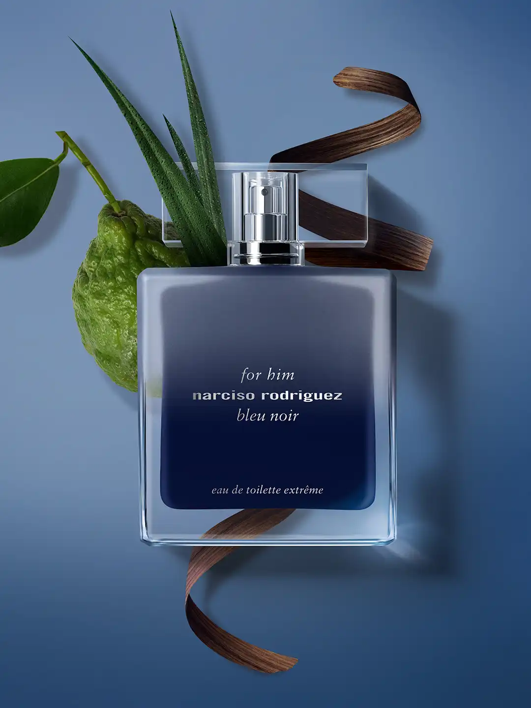 Buy Narciso Rodriguez Men Bleu Noir Extreme Eau De Toilette 50 ml