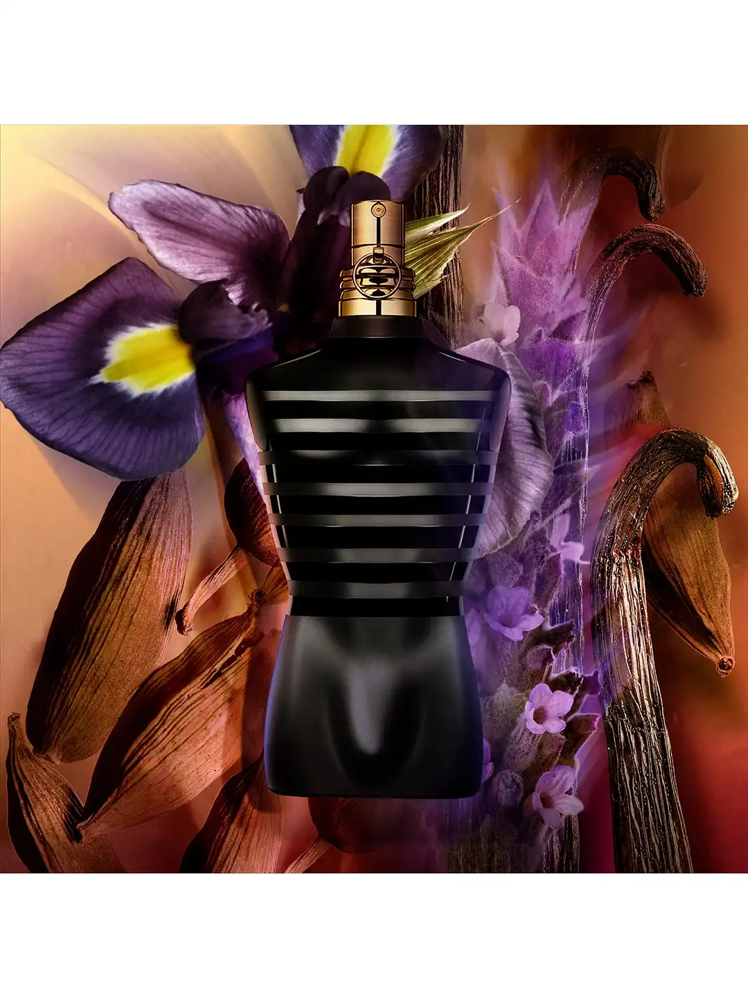 Buy Jean Paul Gaultier Le Male Eau de Parfum 75ML - Perfume for