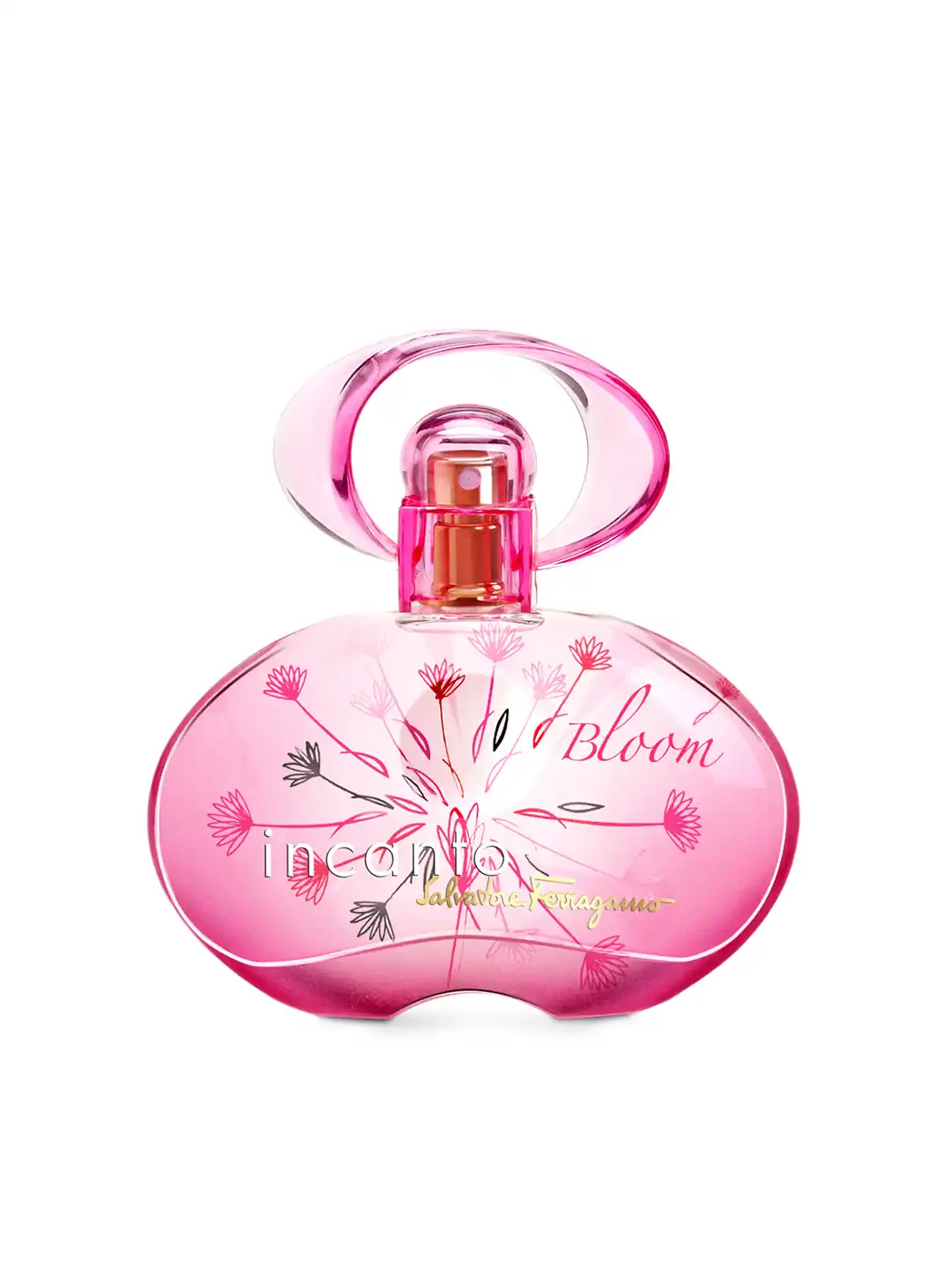 香水(女性用) Salvatore Ferragamo incanto bloom 50ml Buy Salvatore Ferragamo Women Incanto Bloom IB Eau De Toilette 30