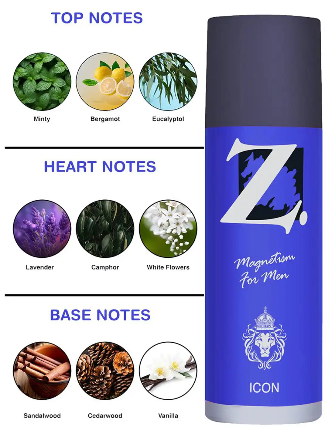 Buy Z-MAGNETISM FOR MEN Set Of 2 Zest & Icon Deodorant Body Spray