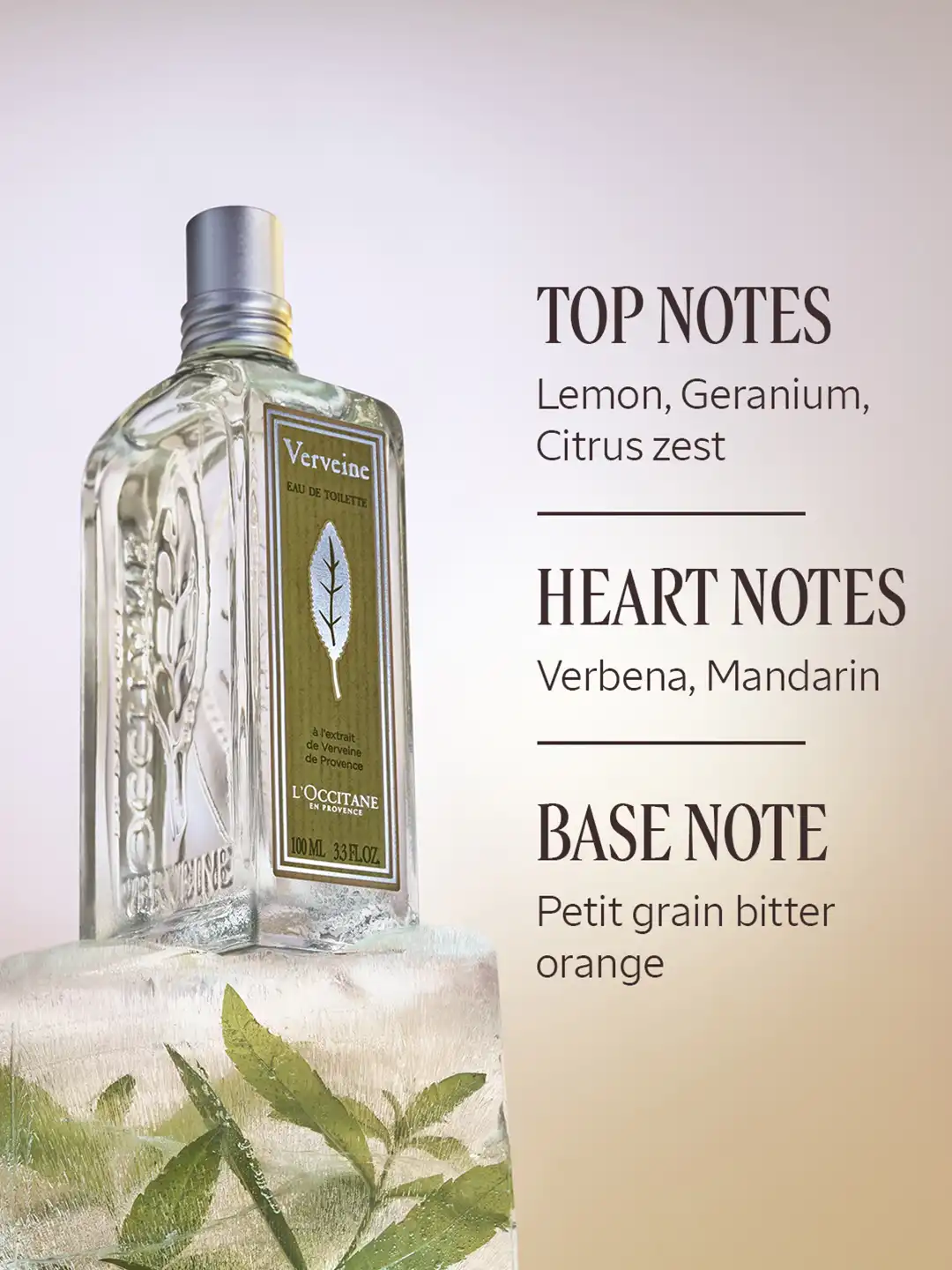 Buy LOccitane en Provence Verbena Eau De Toilette- 100 ml