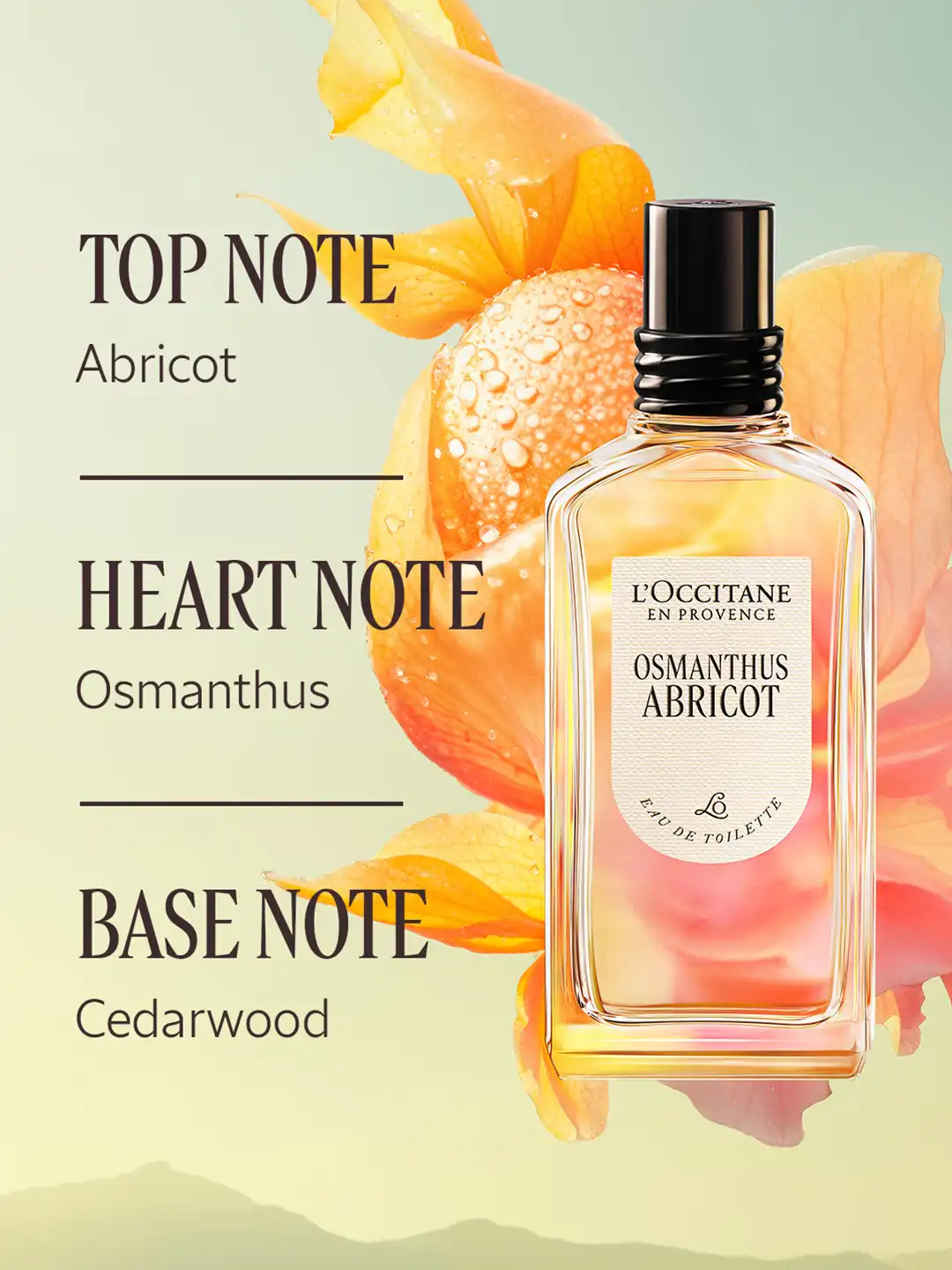 Buy LOccitane en Provence Osmanthus Abricot Eau De Toilette 50 ml