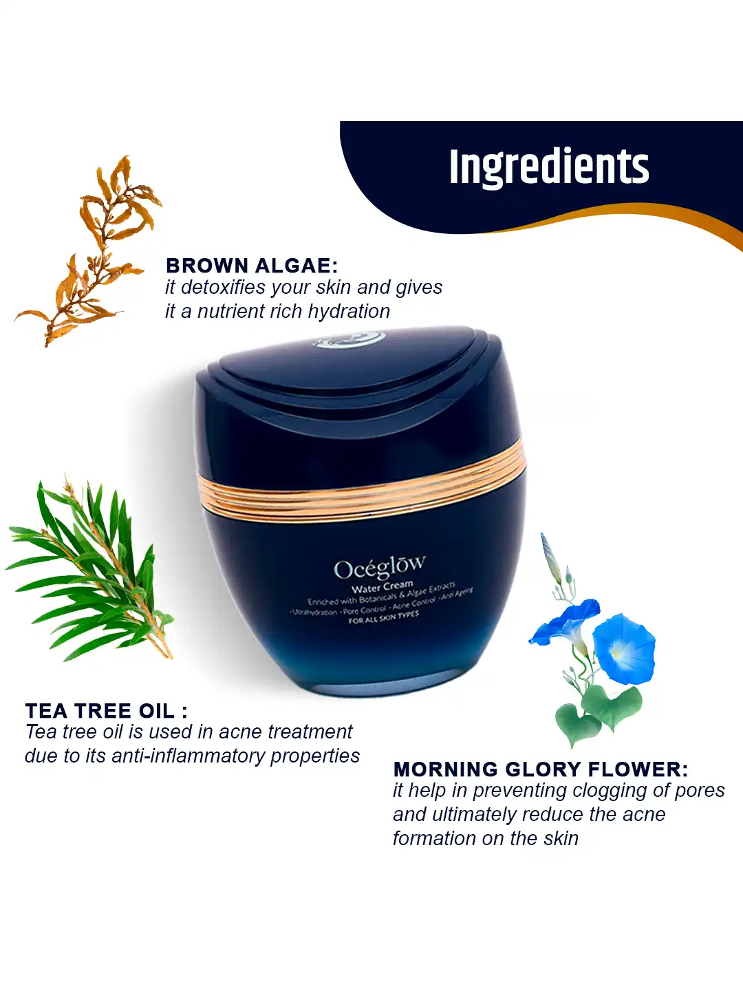 Buy Oceglow Water Cream 50ml - Day Cream for Unisex 20631122 | Myntra