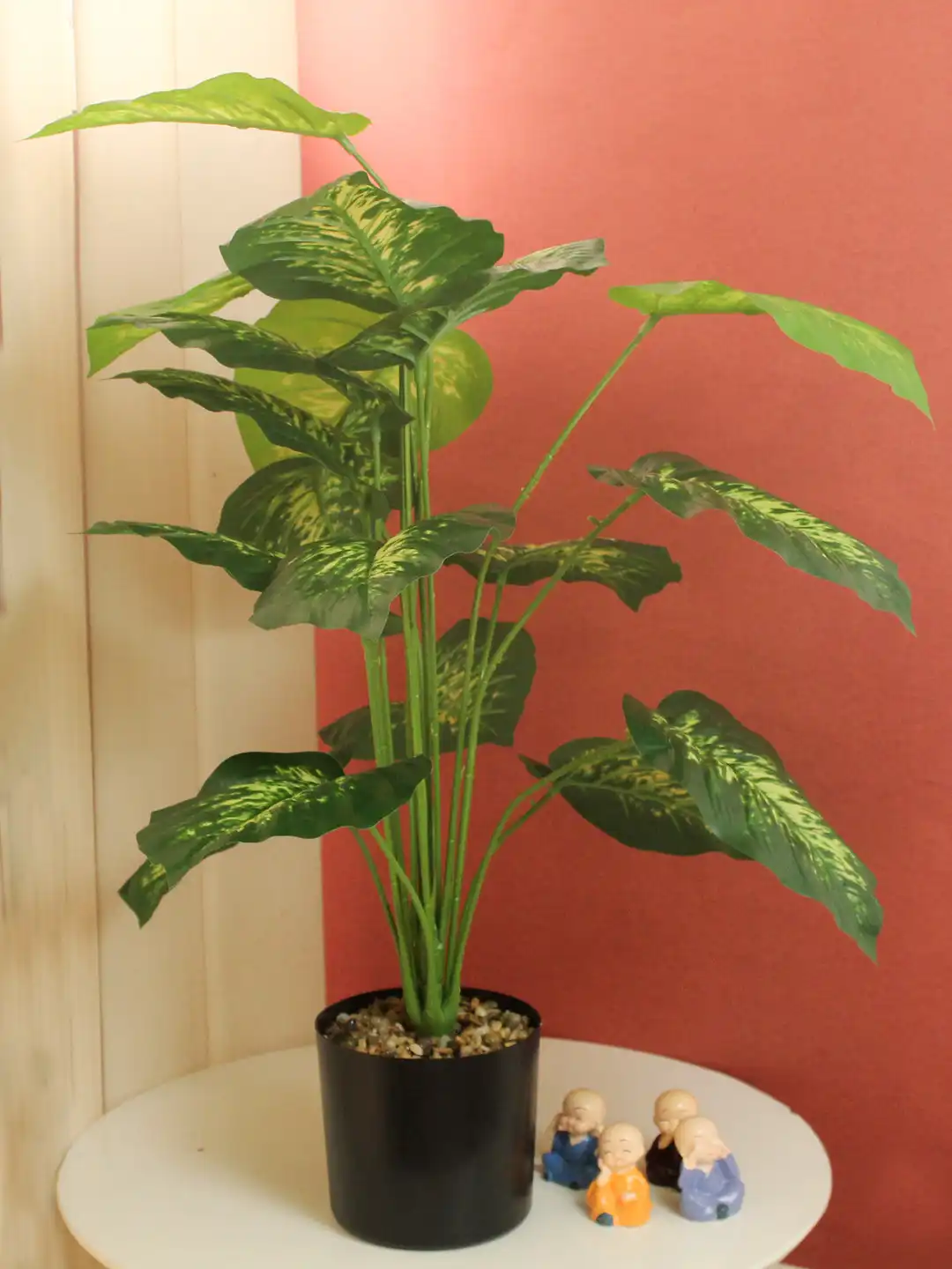 bamboo fortune plant Lucky Bamboo main image 0