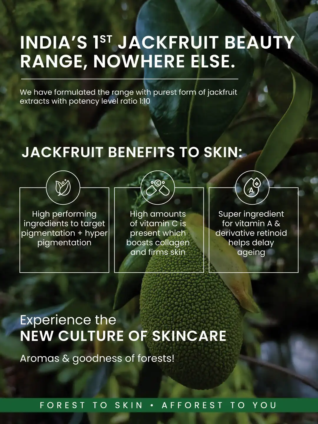 Buy AFFOREST Jackfruit Gel Creme Moisturiser with Niacinamide B3