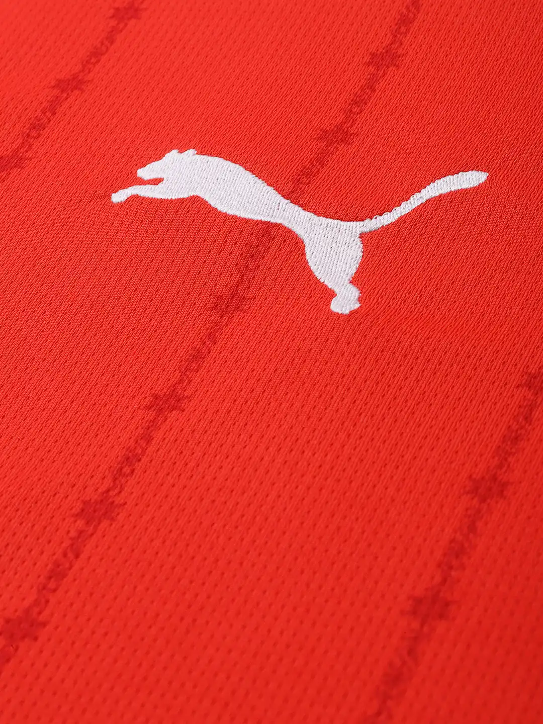 Buy Puma Striped dryCELL Switzerland Football 2024 Home Jersey T