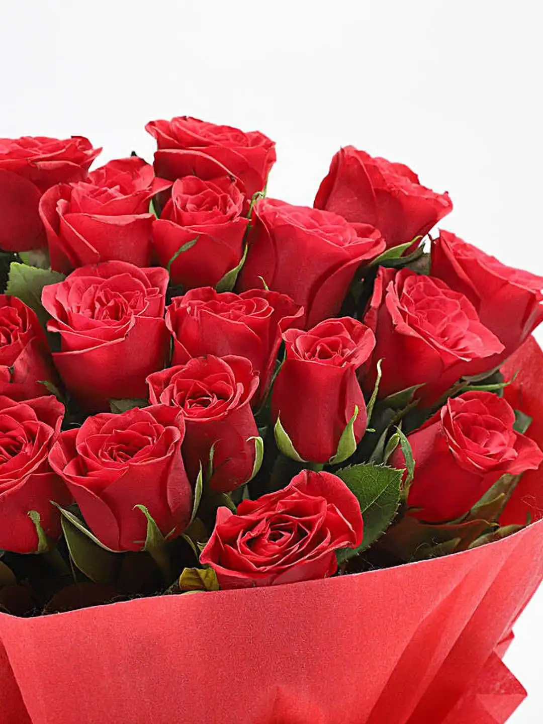 ナーフバラ売り専用 Buy fnp Red 20 Pieces Roses Fresh Flowers Bouquet - Fresh Flowers