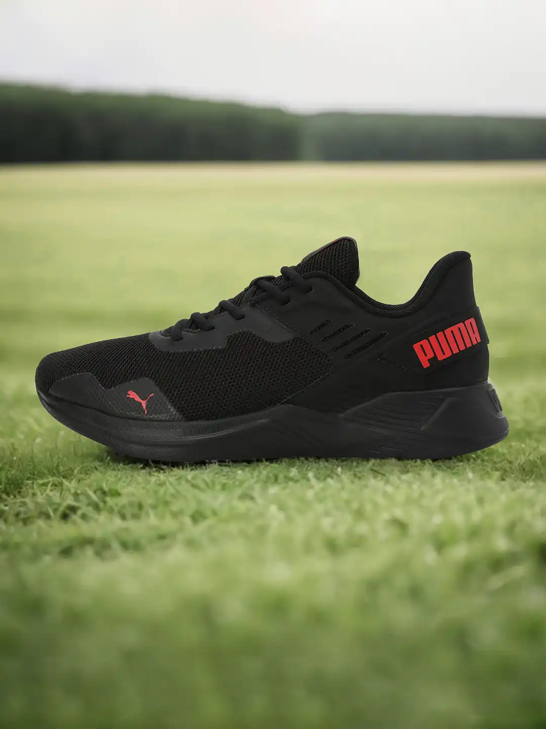 デュアルフォース Asics GEL-CHALLENGER 15 tennis shoes for Men