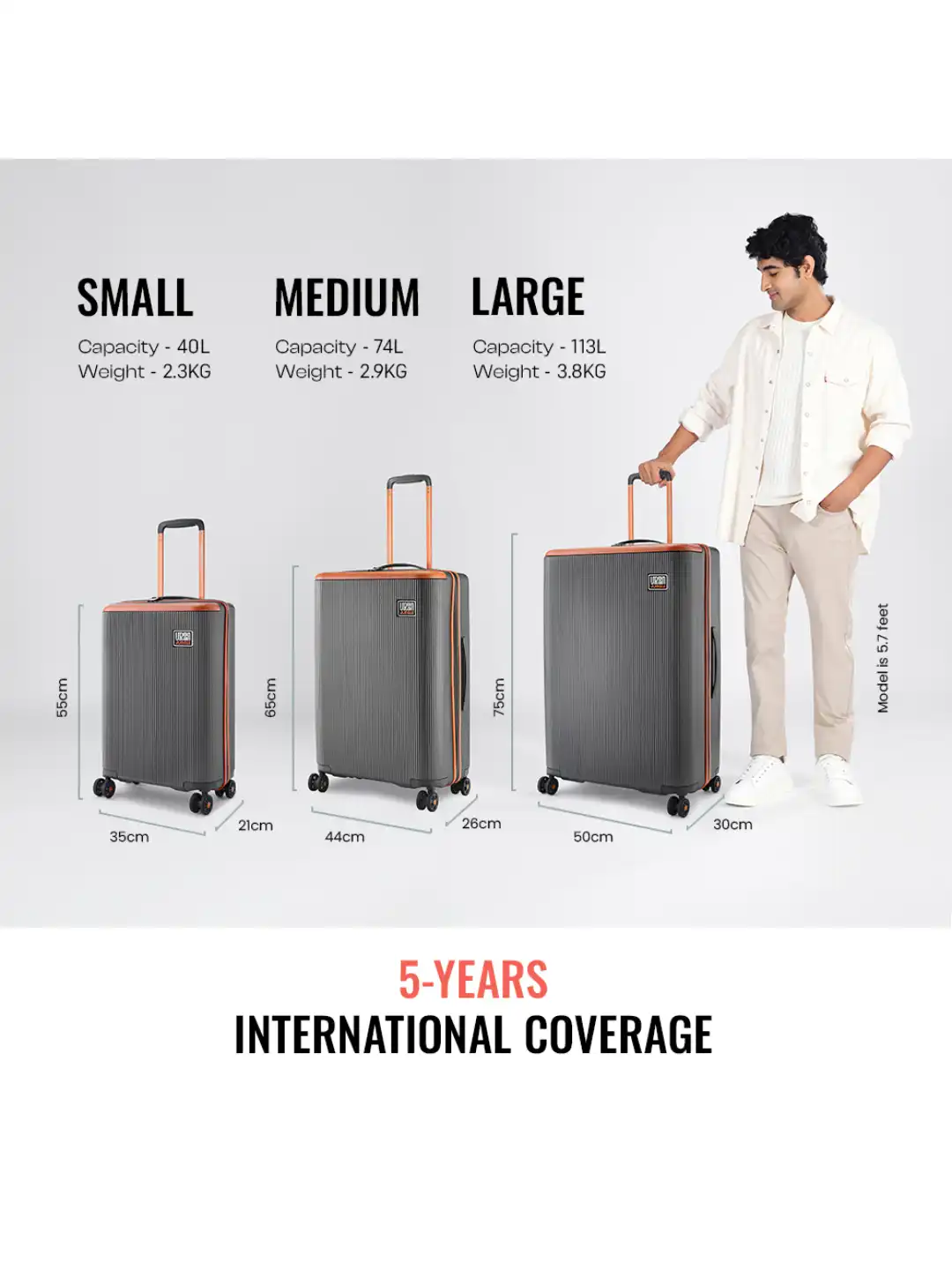 Buy Urban Jungle Lumolite Set Of 2 By Safari Hardside Trolley