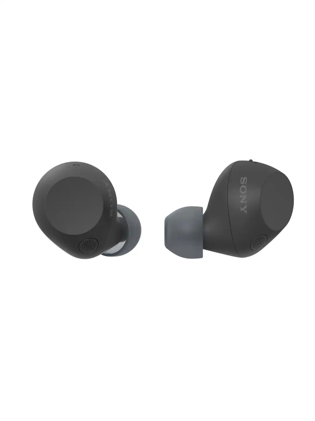 Buy SONY WF-C710N Noise Cancellation Wireless Earbuds with AI Call