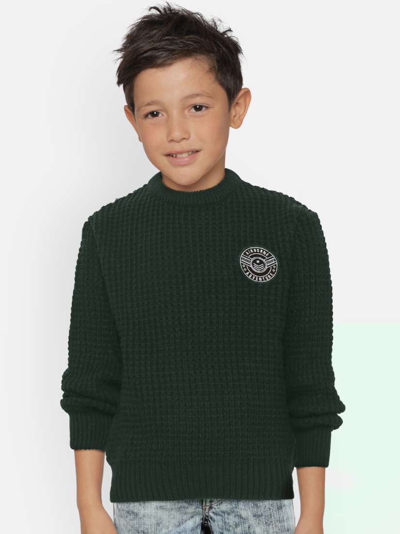 Buy Palm Tree Boys Dark Green Self Design Pullover Sweater Sweaters for Boys 10915994 Myntra