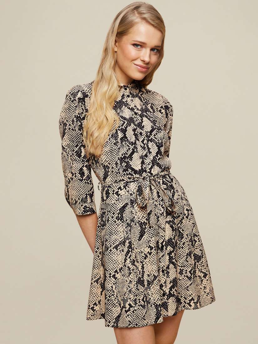 Dorothy perkins snake print shop
