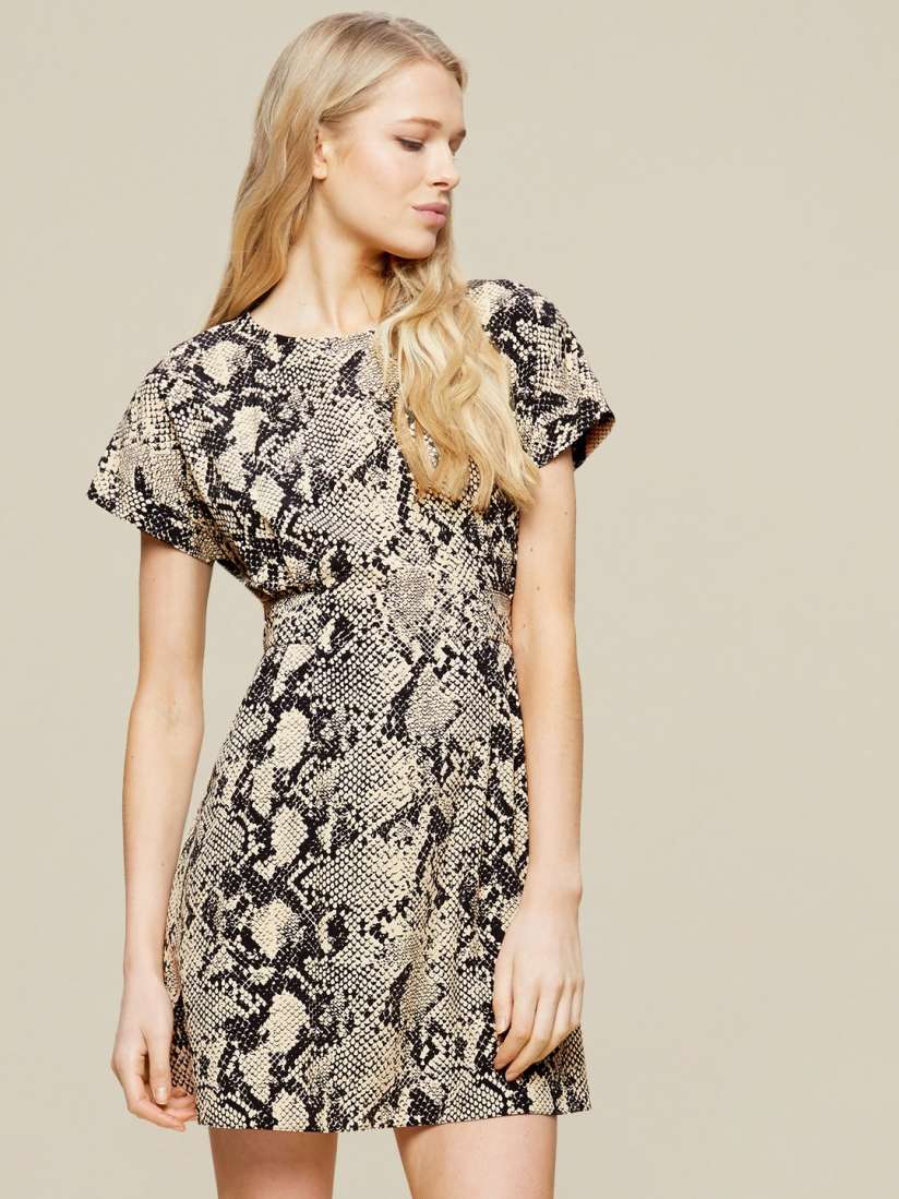 Dorothy perkins snake print dress hot sale