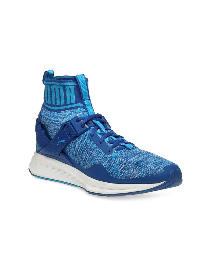Buy PUMA Men Blue IGNITE evoKNIT Running Shoes Sports Shoes for Men 1759001 Myntra