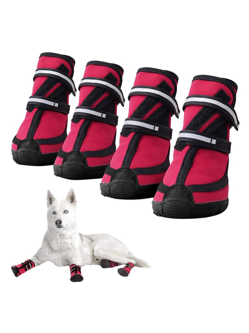Red dog shoes sale