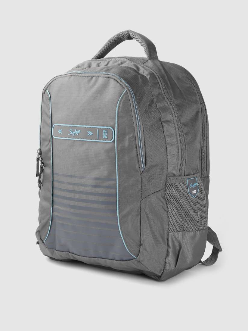 Skybags grey backpack on sale