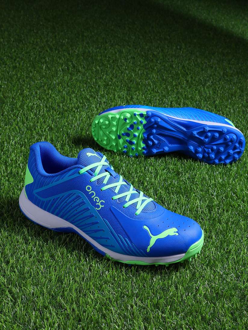 Buy Puma Men Blue 22 FH Rubber Cricket Shoes Sports Shoes for Men 19656356 Myntra