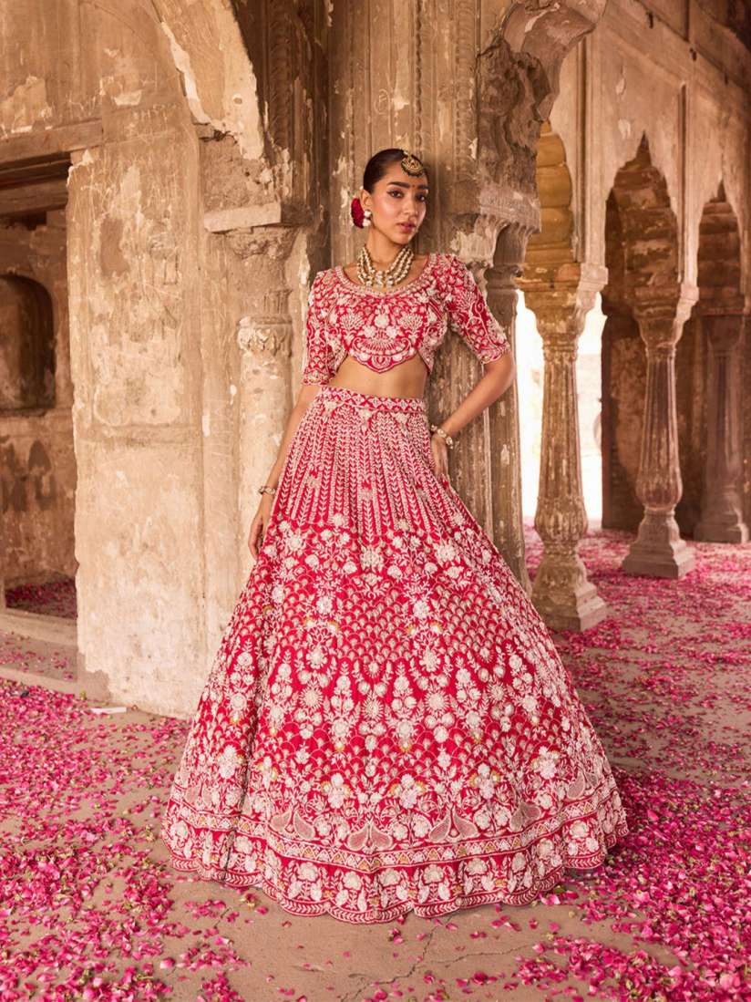 Naira chaniya choli top