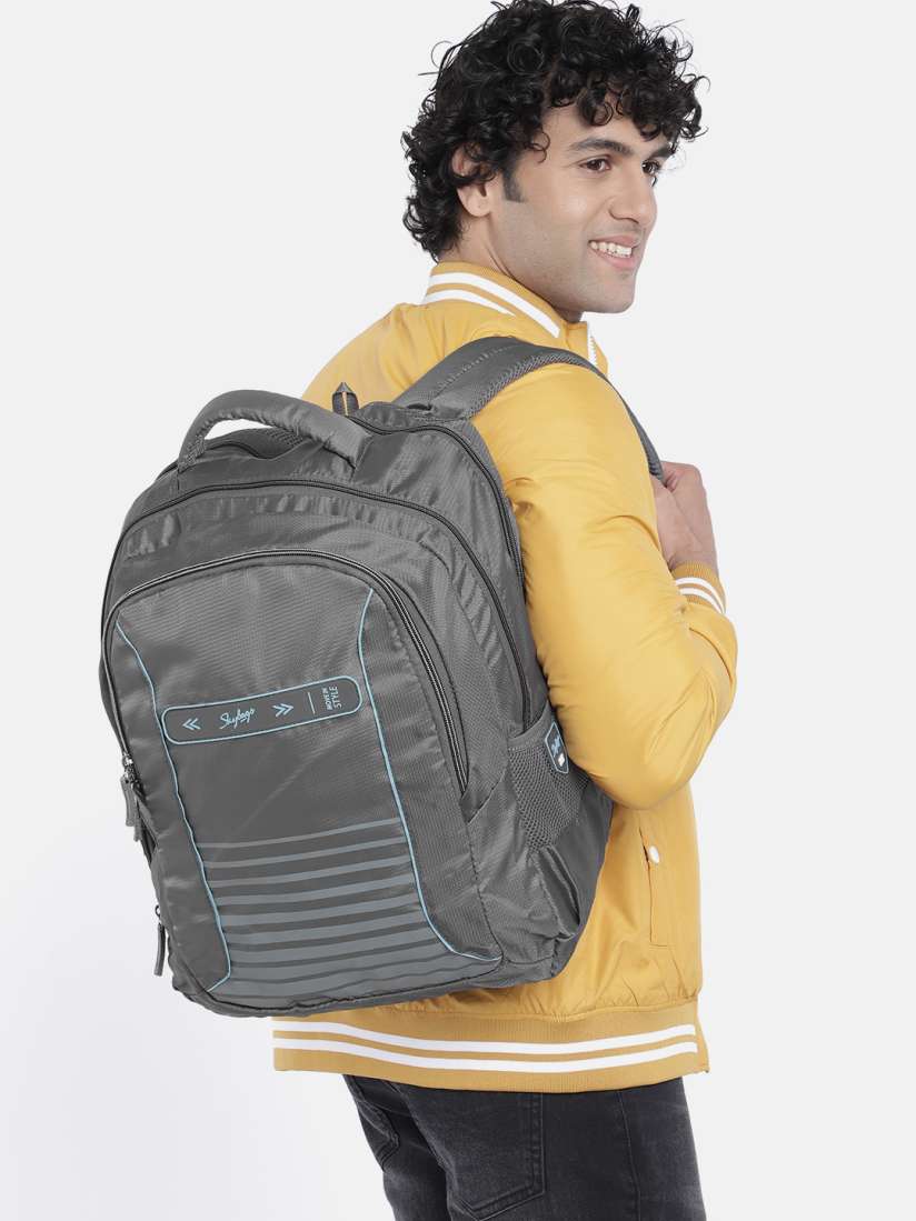 Buy Skybags Unisex Grey Striped Backpack with Rain Cover Backpacks for Unisex 20295426 Myntra