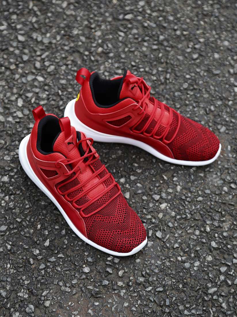 Buy PUMA Motorsport Men Red SF Evo Cat Mid Top Sneakers Casual Shoes for Men 2041335 Myntra