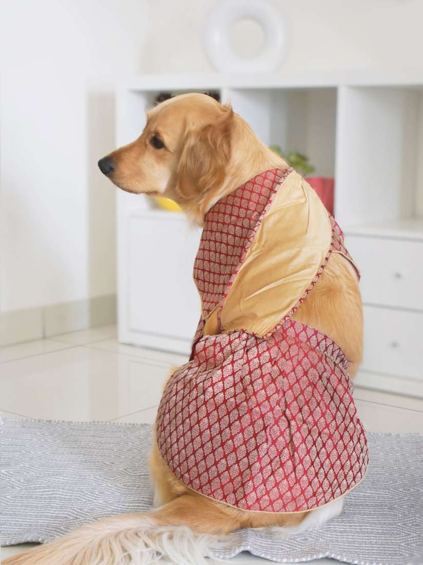 Large dog dresses best sale