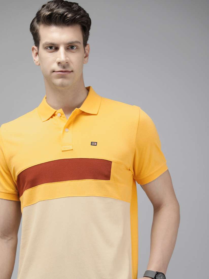 Buy Arrow Colourblocked Polo Collar Pure Cotton T shirt Tshirts for Men 22757126 Myntra