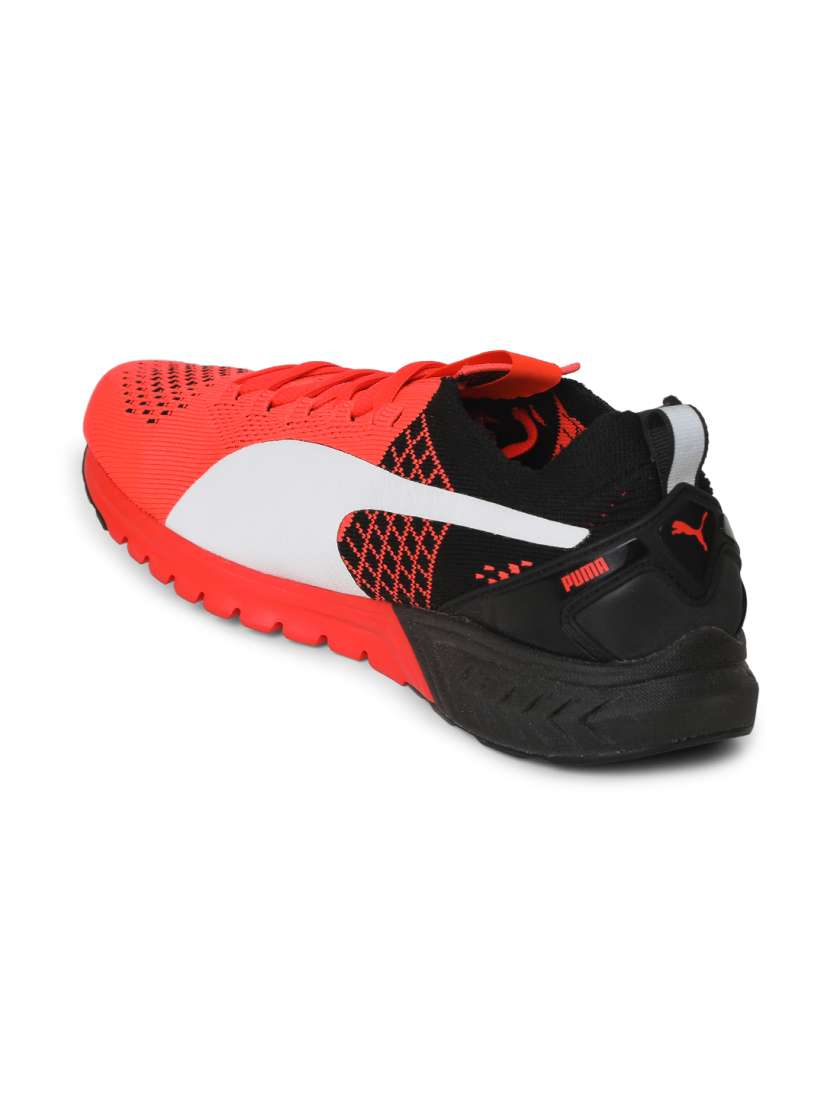 Puma ignite dual evoknit 2025