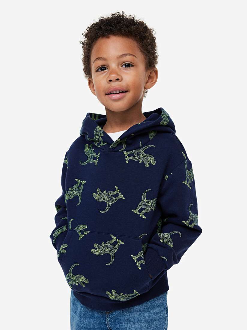 Buy H M Boys Hoodie Sweatshirts for Boys 24031744 Myntra