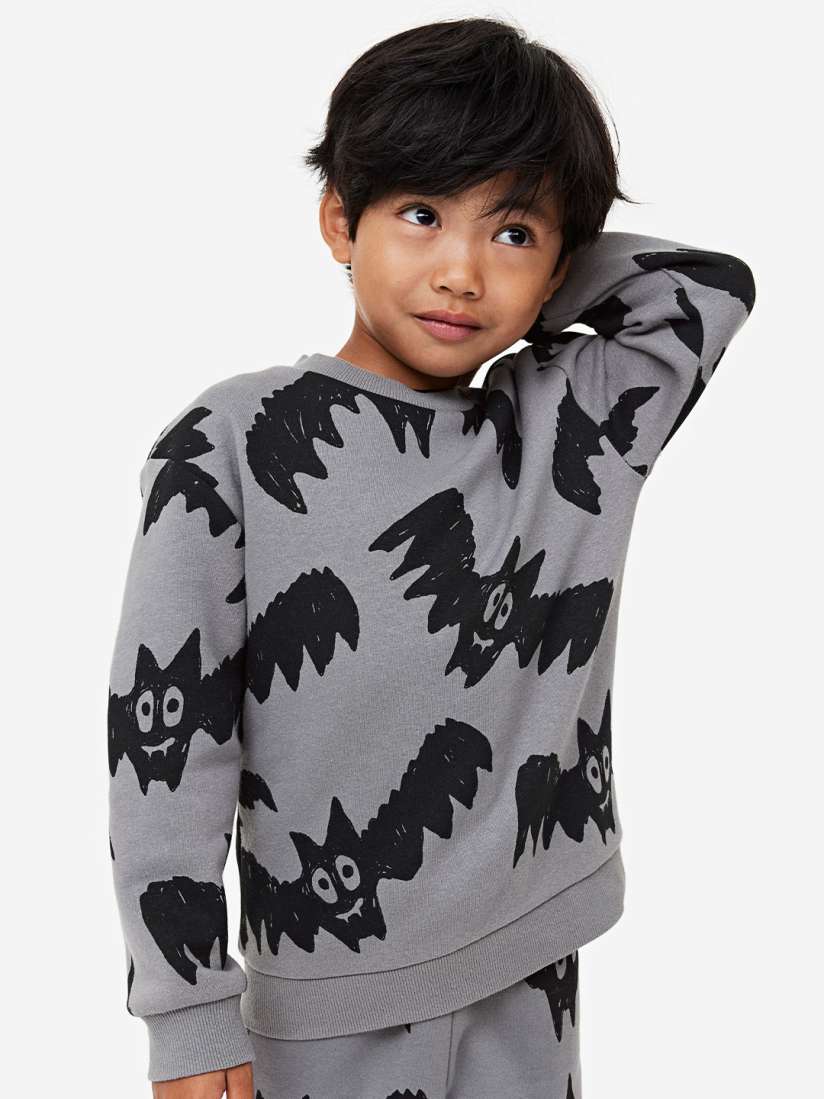 Buy H M Boys Sweatshirt Sweatshirts for Boys 24584812 Myntra