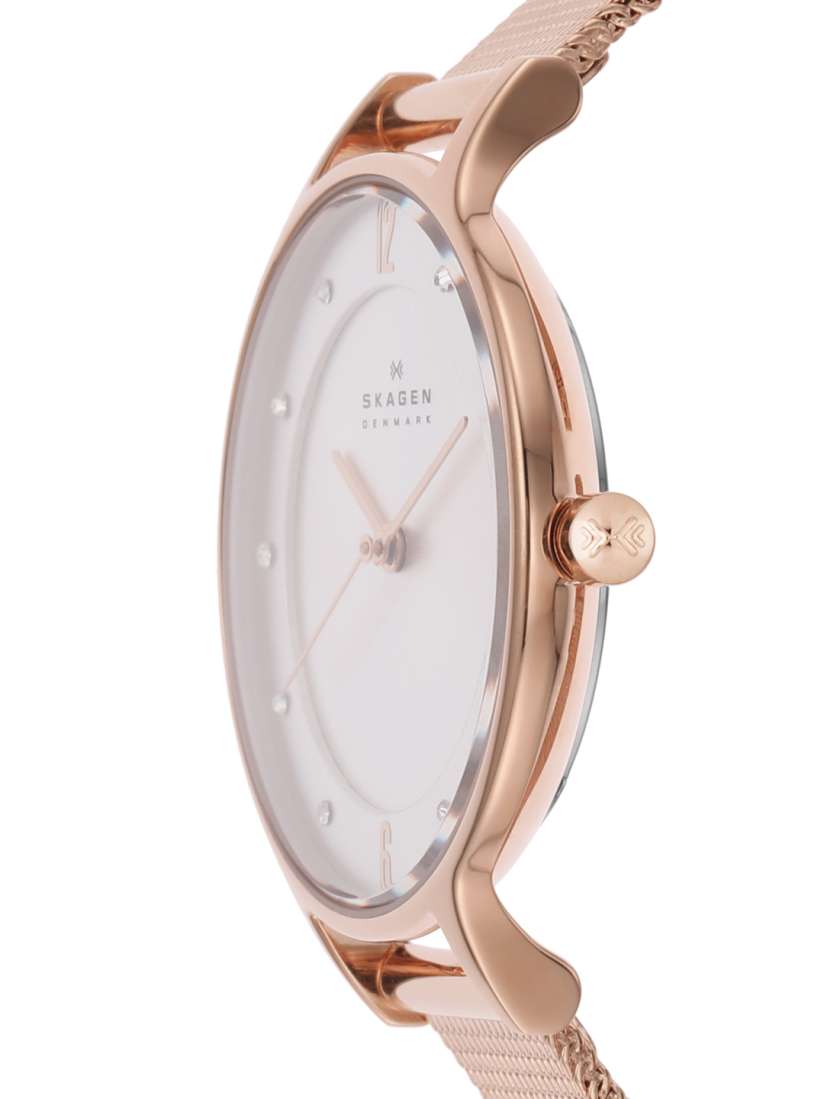 Buy Skagen Women Silver Toned Dial Watch Watches for Women 253760 Myntra