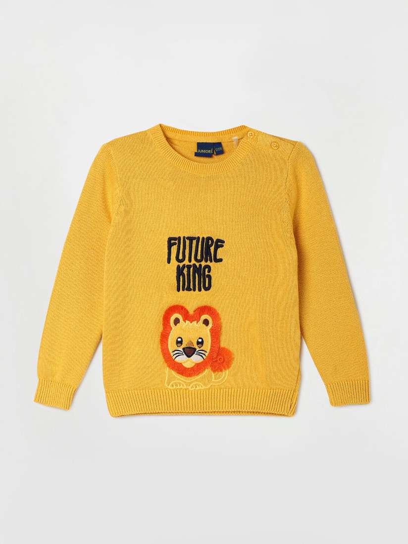 Buy Juniors by Lifestyle Boys Graphic Embroidered Pure Cotton Pullover Sweaters for Boys 25625992 Myntra