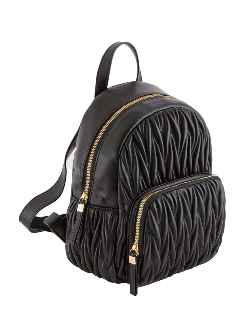 Buy CARPISA Water Resistant Ergonomic Backpack Backpacks for Women 25798916 Myntra