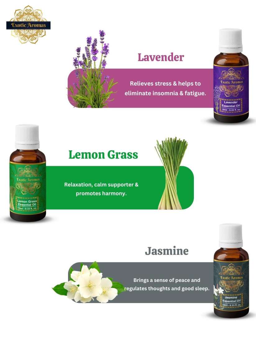 Buy EXOTIC AROMAS 12 Pcs Essential Oils For Diffusers Therapeutic Use 10ml Each Aroma Oils for Unisex 25963276 Myntra