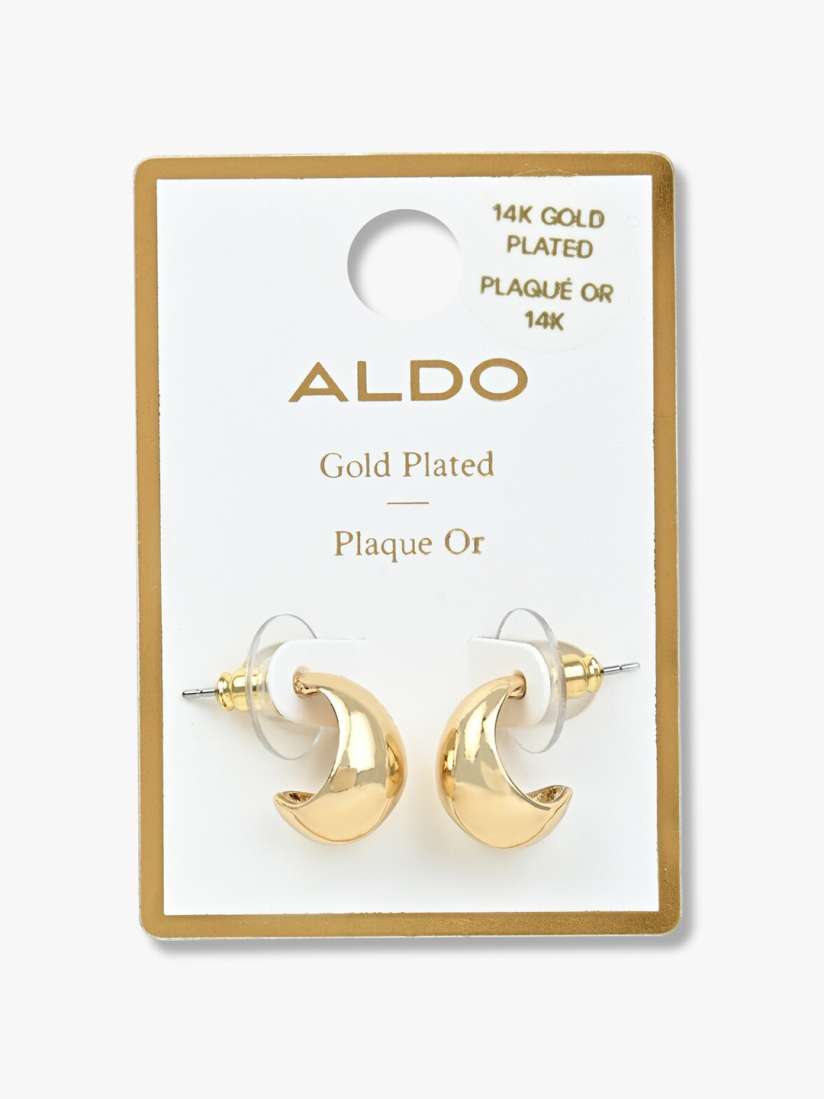 Aldo hoop earrings on sale