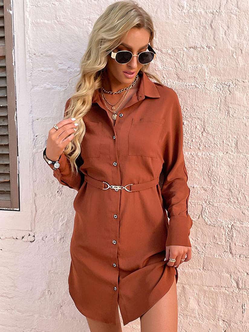 StyleCast Brown Chiffon Shirt Style Dress
