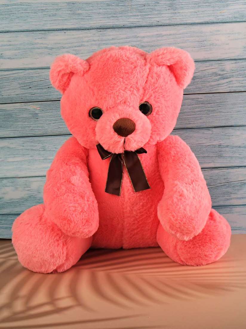 Teddy bear on myntra best sale