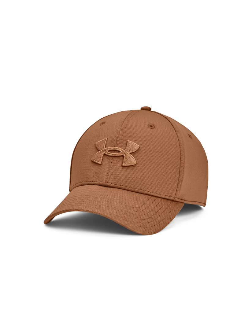 Buy UNDER ARMOUR Men Brand Logo Detail Blitzing Baseball Cap Caps for Men 27293880 Myntra