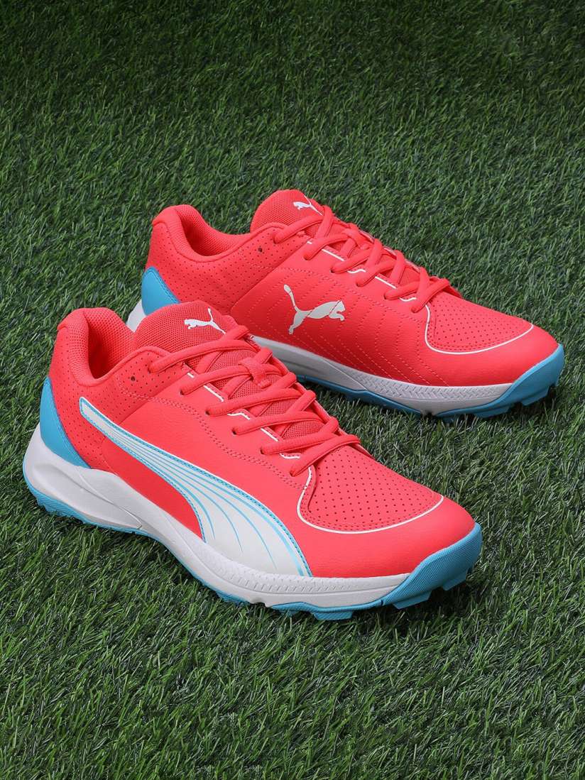 Buy Puma Unisex 24 FH Rubber Cricket Shoes Sports Shoes for Unisex 27405338 Myntra