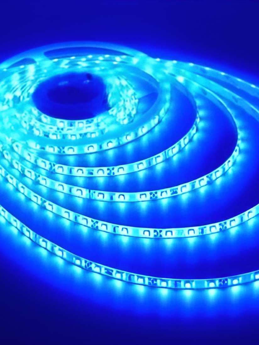 Blue rice lights on sale
