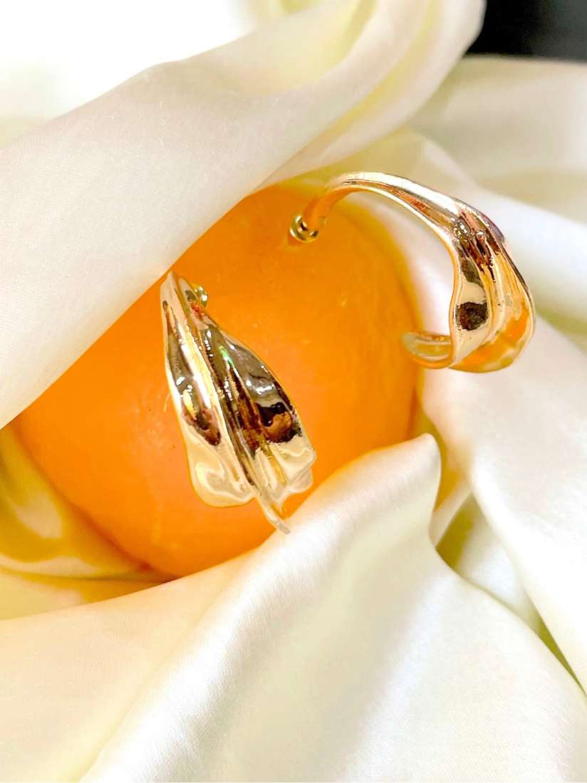 Myntra hoop earrings hot sale