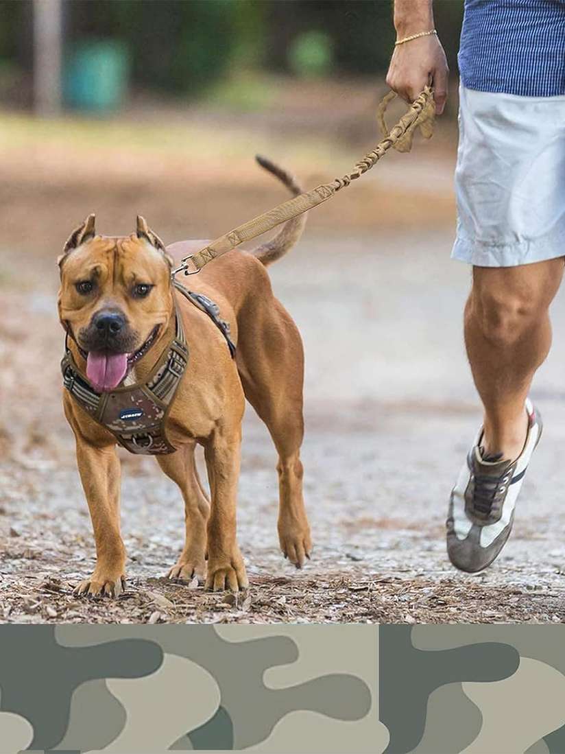 pull pet