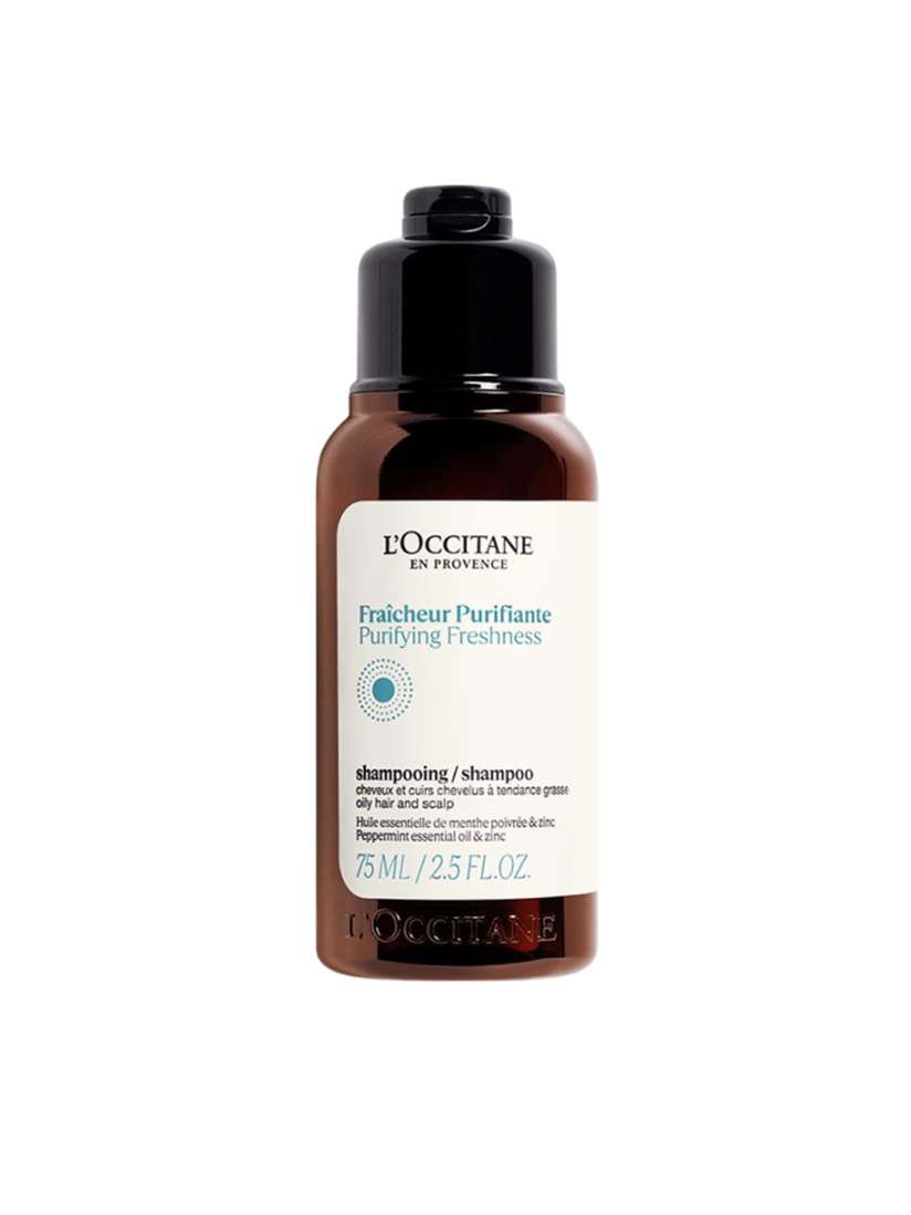 Buy LOccitane en Provence Purifying Freshness Travel Size Shampoo With  Peppermint & Zinc -75ml - Shampoo for Unisex 30029004 | Myntra