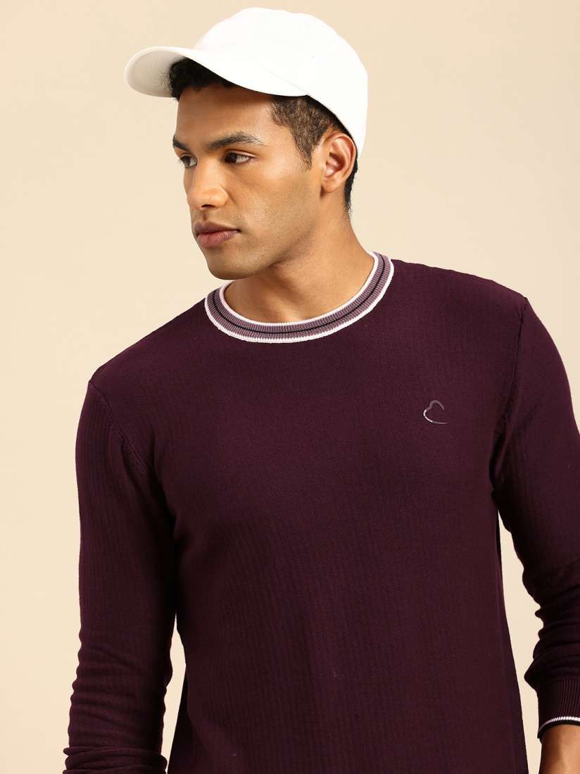 Buy Being Human Men Ribbed Pullover Sweaters for Men 30072554 Myntra