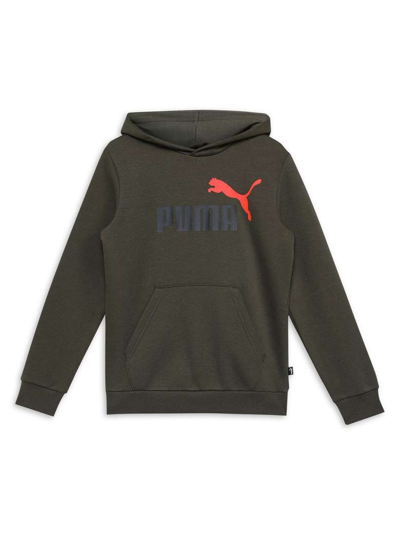 Buy Puma Ess 2 Col Big Logo Hoodie Boys Hoodie Sweatshirts Sweatshirts for Boys 30193434 Myntra