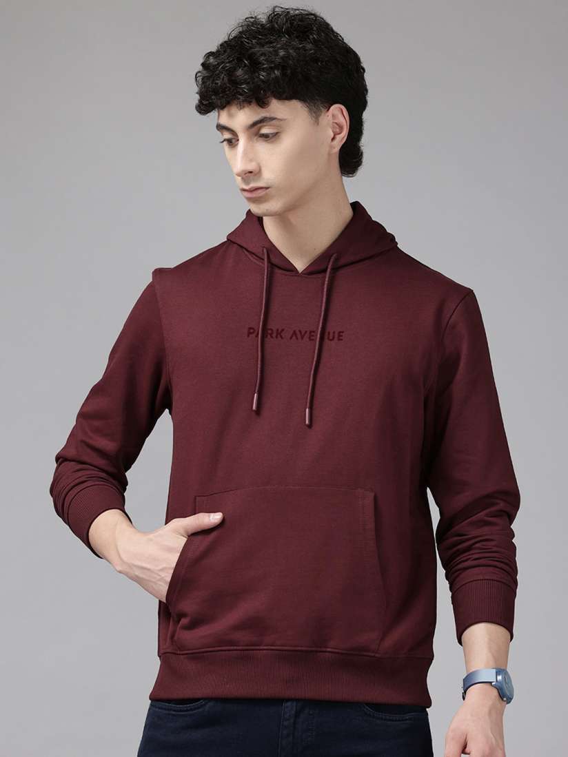 Buy Park Avenue Logo Printed Hooded Sweatshirt Sweatshirts for Men 30398652 Myntra