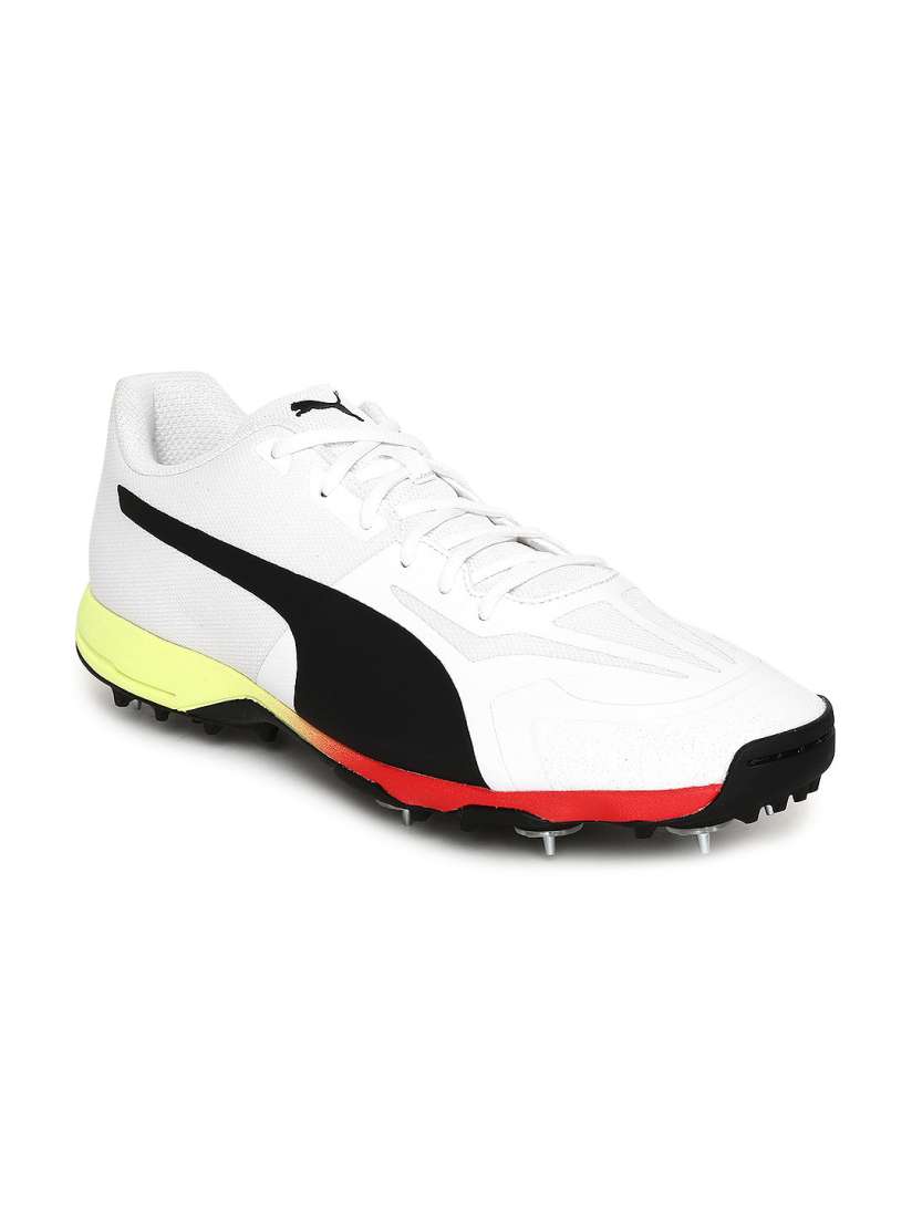 Puma evospeed 18.1 cricket spikes online