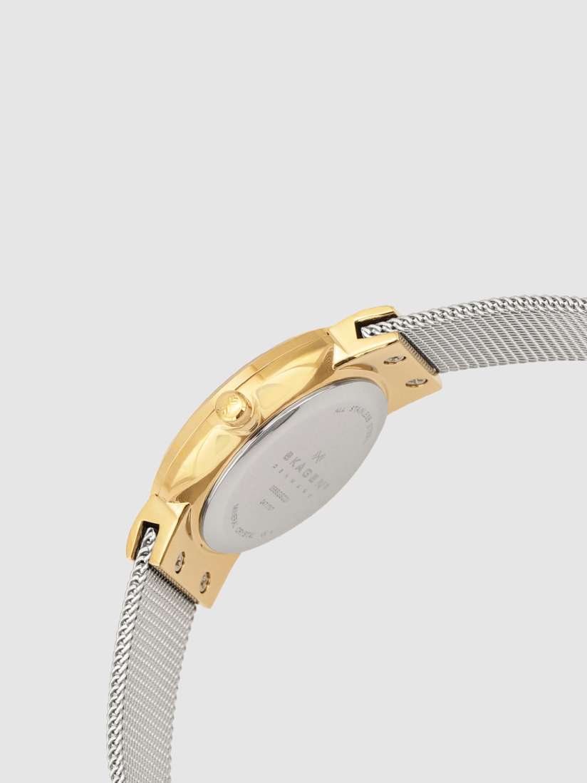 Skagen ladies watch 358sgscd cheap
