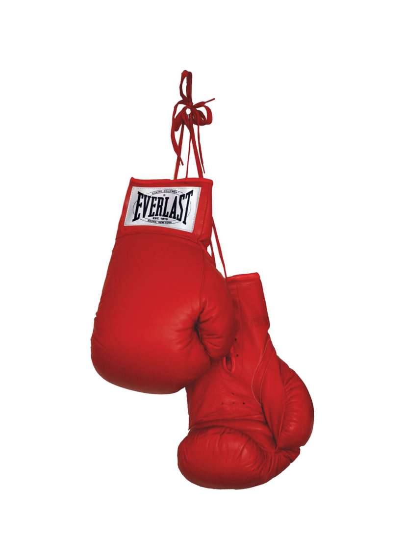 Everlast autograph boxing gloves best sale